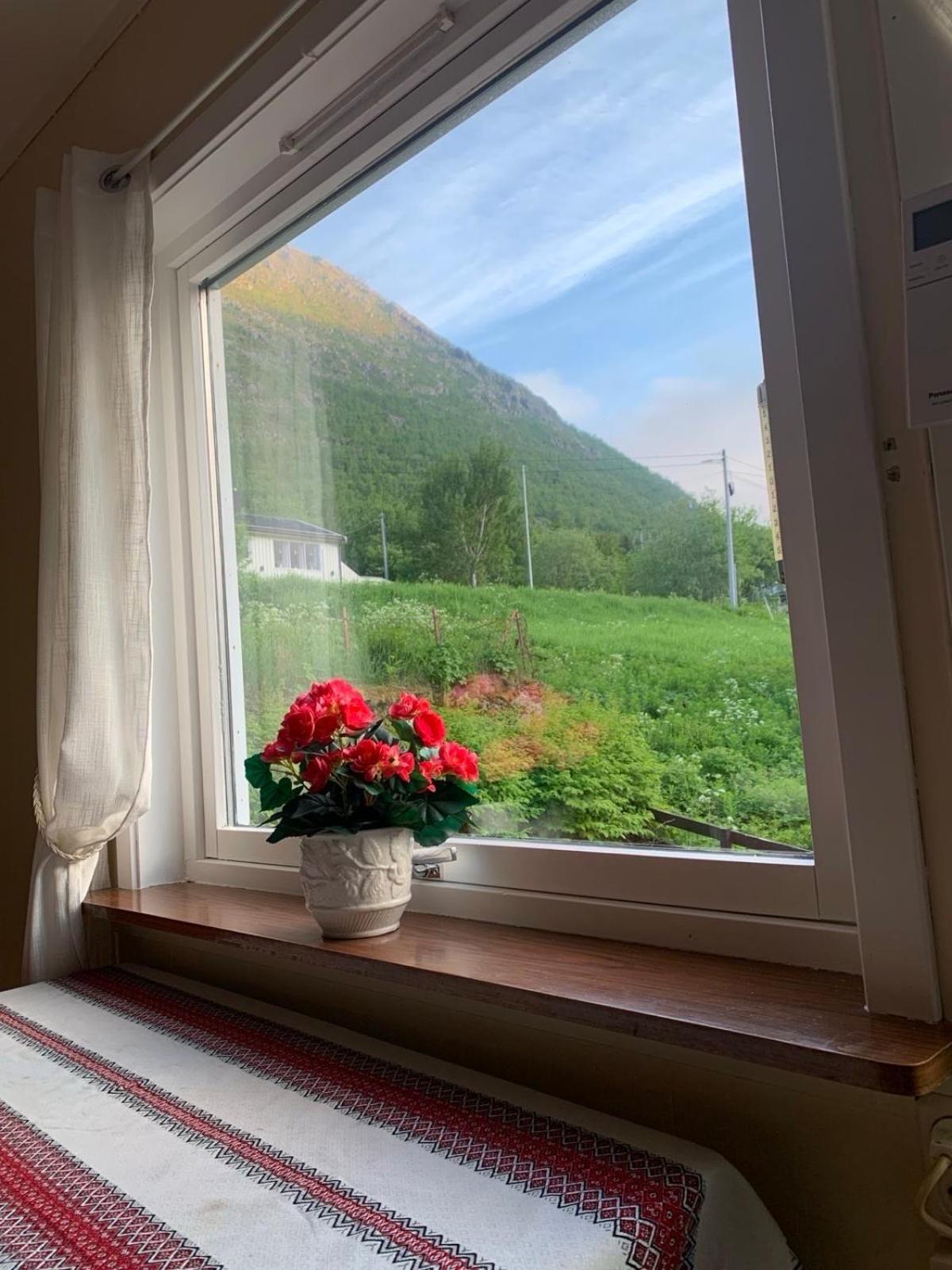 Appartamento House Gryllefjord Esterno foto