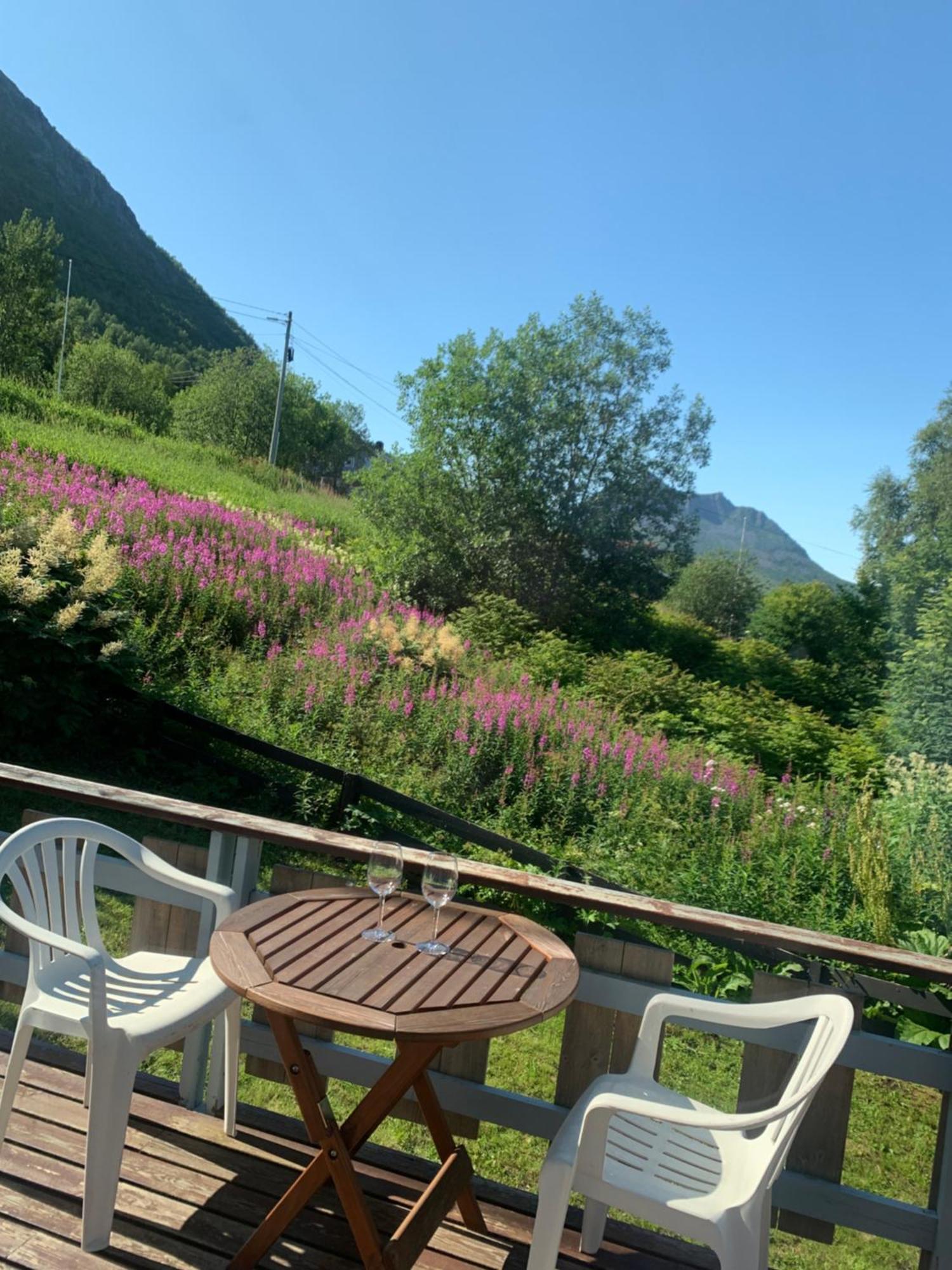 Appartamento House Gryllefjord Esterno foto